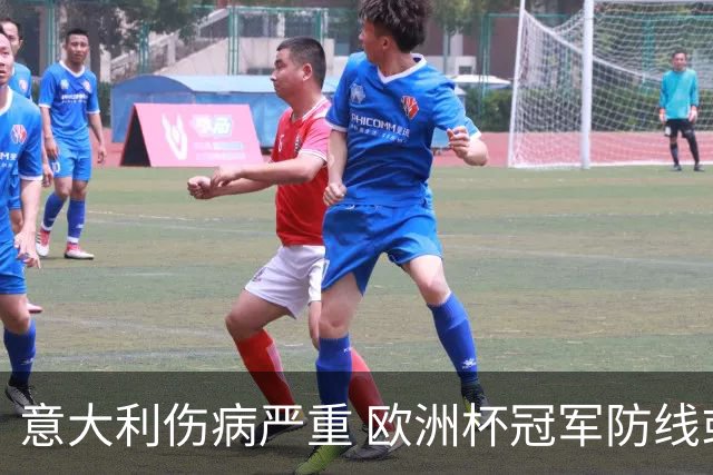 意大利伤病严重 欧洲杯冠军防线或全部无法上场